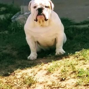 Meet your Posher, Edith